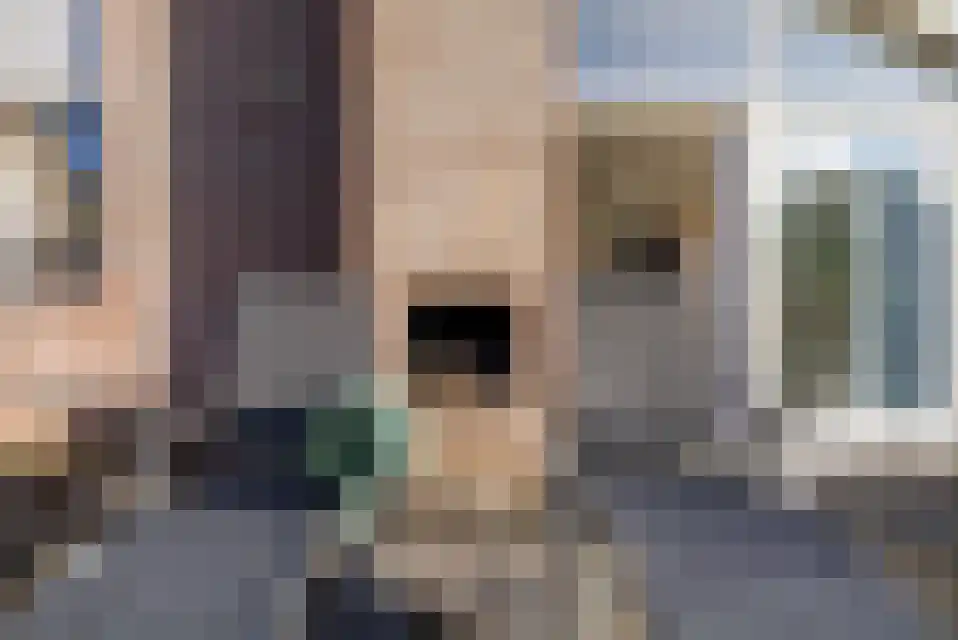 Het Zwiggelterveld 140 Zwiggelte thumbnail 26