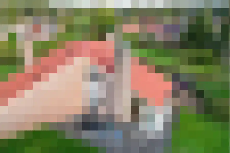 Het Zwiggelterveld 140 Zwiggelte thumbnail 27