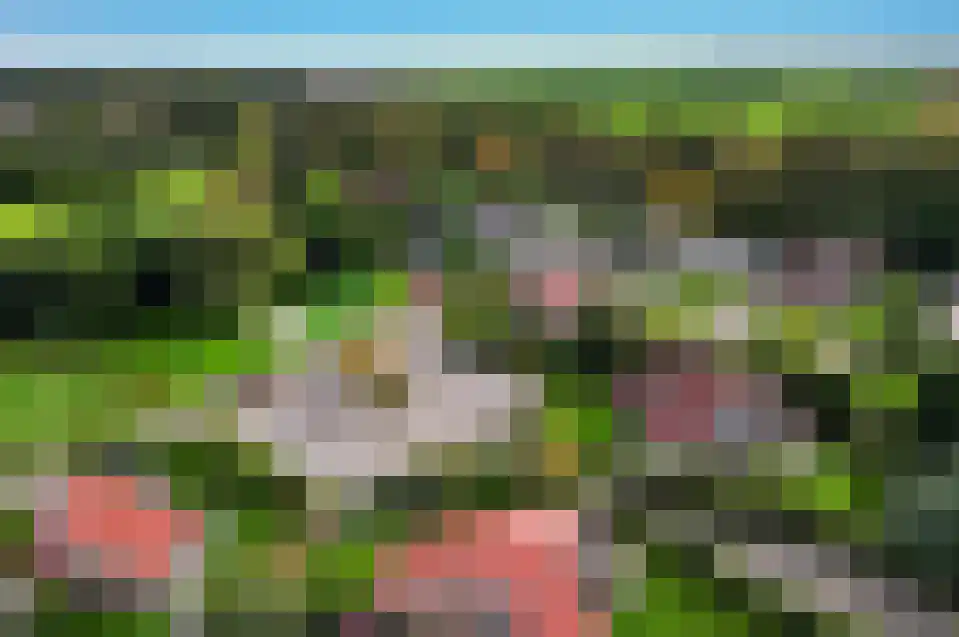 Het Zwiggelterveld 140 Zwiggelte thumbnail 38