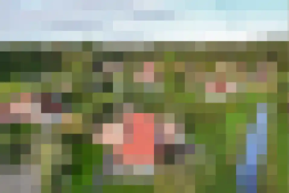 Het Zwiggelterveld 140 Zwiggelte thumbnail 39