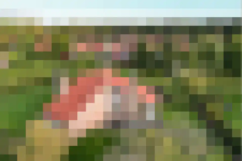 Het Zwiggelterveld 140 Zwiggelte thumbnail 40