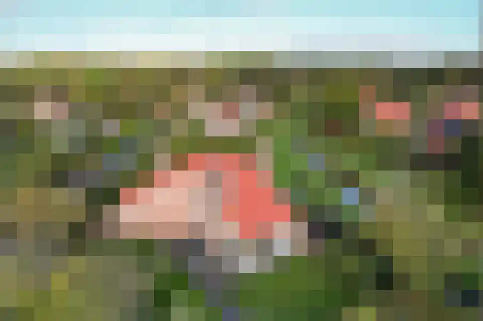 Het Zwiggelterveld 140 Zwiggelte thumbnail 6