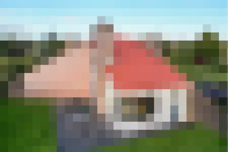 Het Zwiggelterveld 140 Zwiggelte thumbnail 7