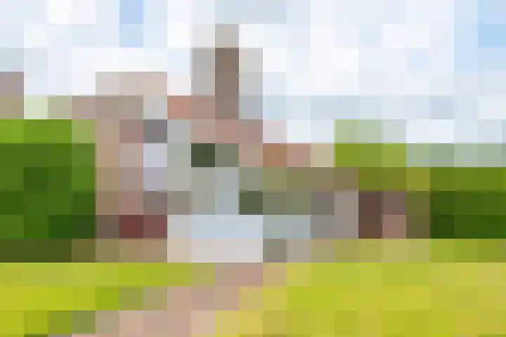 Het Zwiggelterveld 144 in Zwiggelte