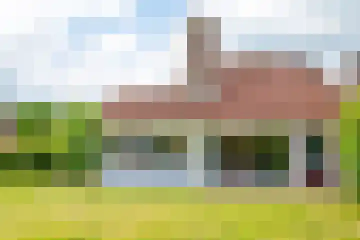 Het Zwiggelterveld 144 Zwiggelte thumbnail 10