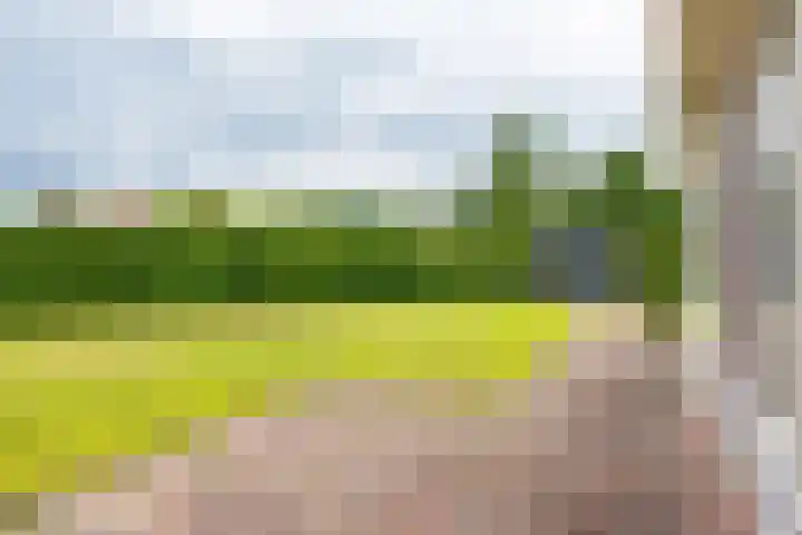 Het Zwiggelterveld 144 Zwiggelte thumbnail 11