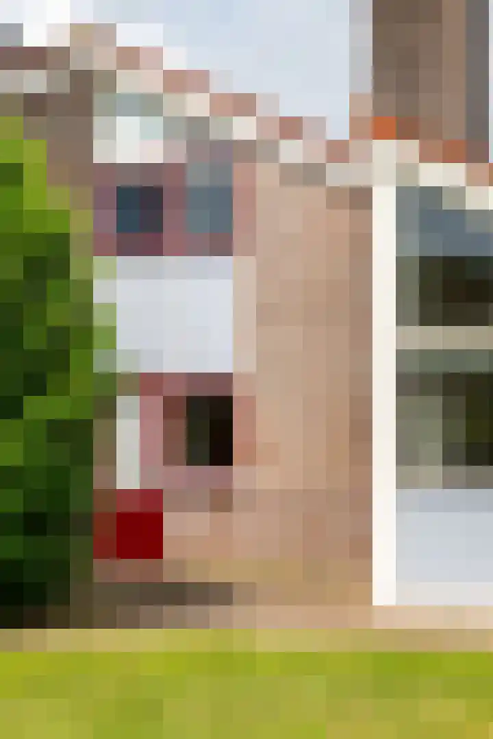 Het Zwiggelterveld 144 Zwiggelte thumbnail 12