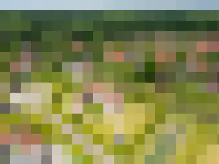 Het Zwiggelterveld 144 Zwiggelte thumbnail 13