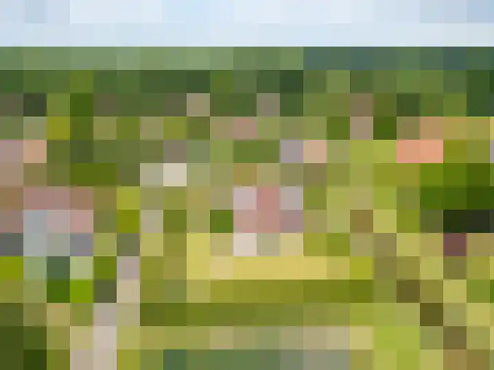 Het Zwiggelterveld 144 Zwiggelte thumbnail 14