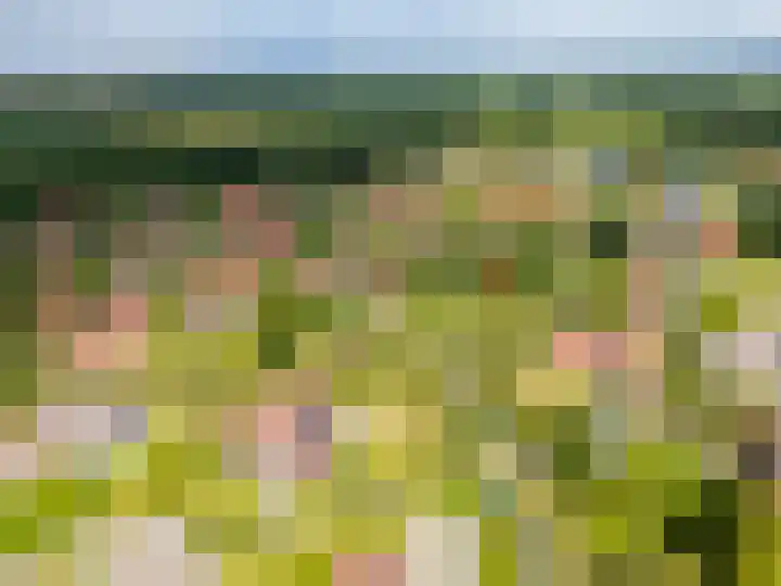 Het Zwiggelterveld 144 Zwiggelte thumbnail 15
