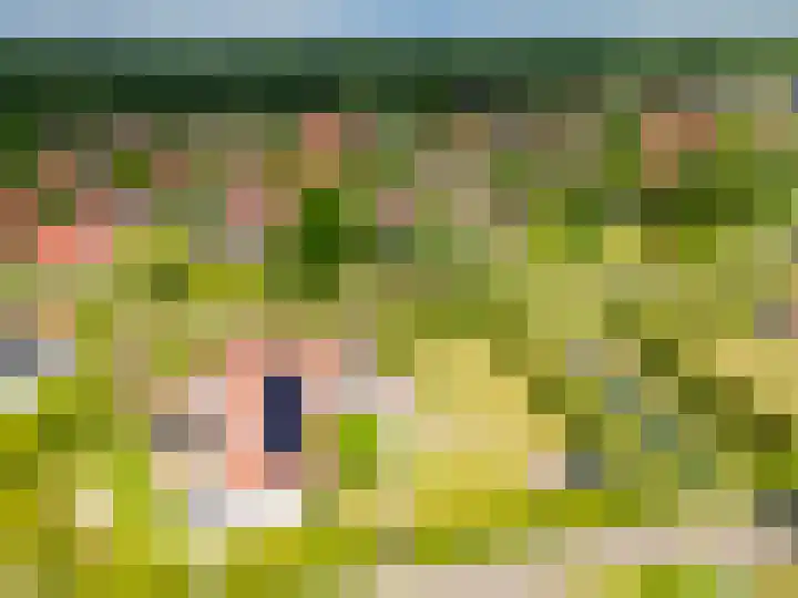 Het Zwiggelterveld 144 Zwiggelte thumbnail 16