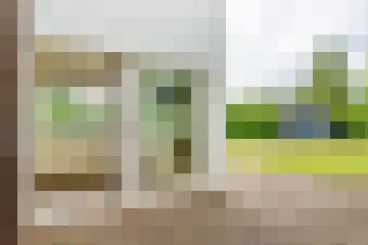 Het Zwiggelterveld 144 Zwiggelte thumbnail 17