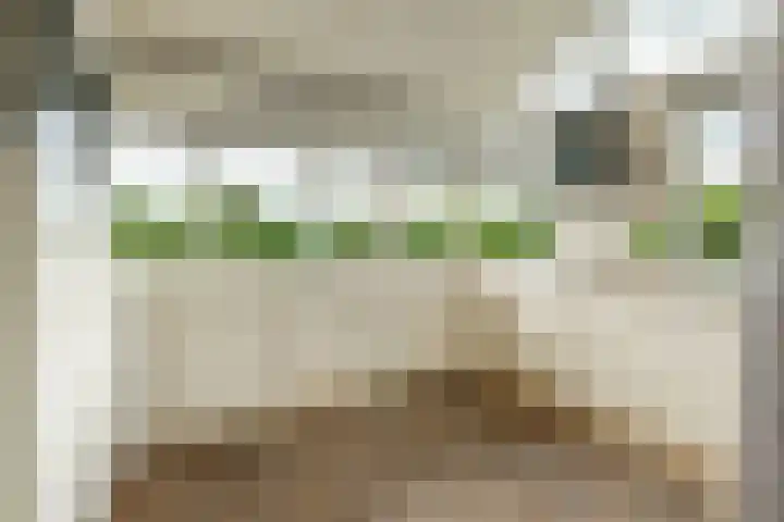 Het Zwiggelterveld 144 Zwiggelte thumbnail 18