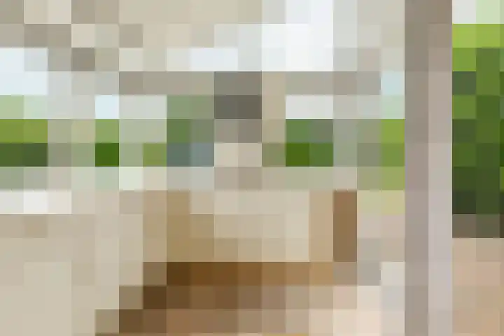 Het Zwiggelterveld 144 Zwiggelte thumbnail 19