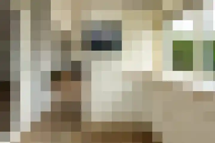 Het Zwiggelterveld 144 Zwiggelte thumbnail 20