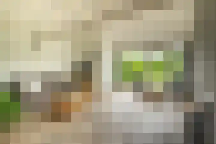 Het Zwiggelterveld 144 Zwiggelte thumbnail 22