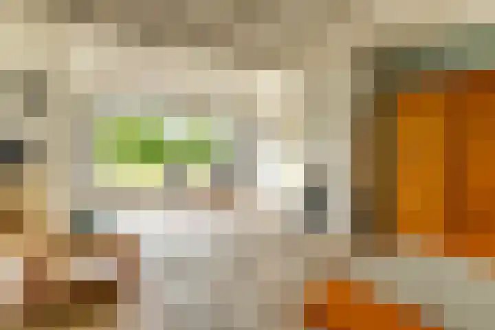 Het Zwiggelterveld 144 Zwiggelte thumbnail 24