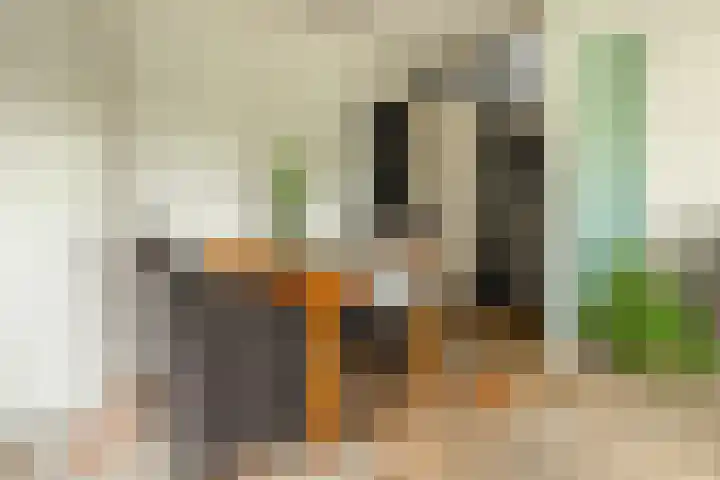 Het Zwiggelterveld 144 Zwiggelte thumbnail 25