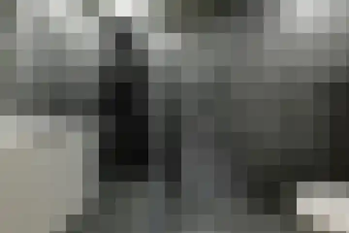 Het Zwiggelterveld 144 Zwiggelte thumbnail 4