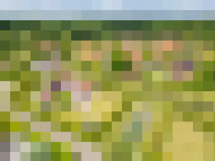 Het Zwiggelterveld 144 Zwiggelte thumbnail 5