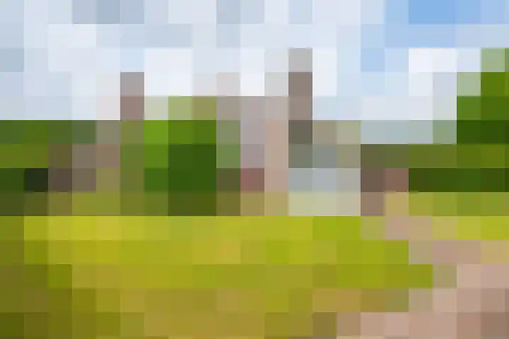 Het Zwiggelterveld 144 Zwiggelte thumbnail 6