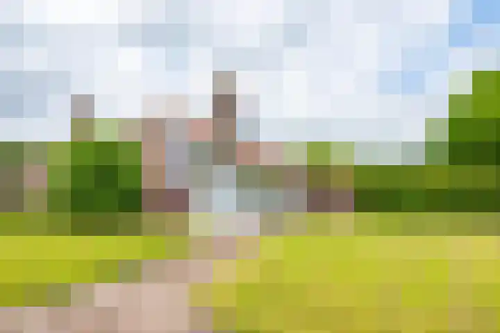 Het Zwiggelterveld 144 Zwiggelte thumbnail 8