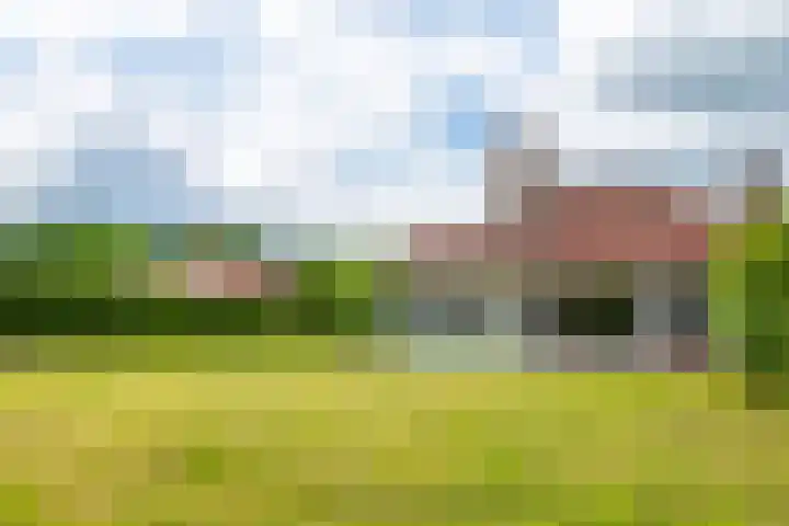 Het Zwiggelterveld 144 Zwiggelte thumbnail 9