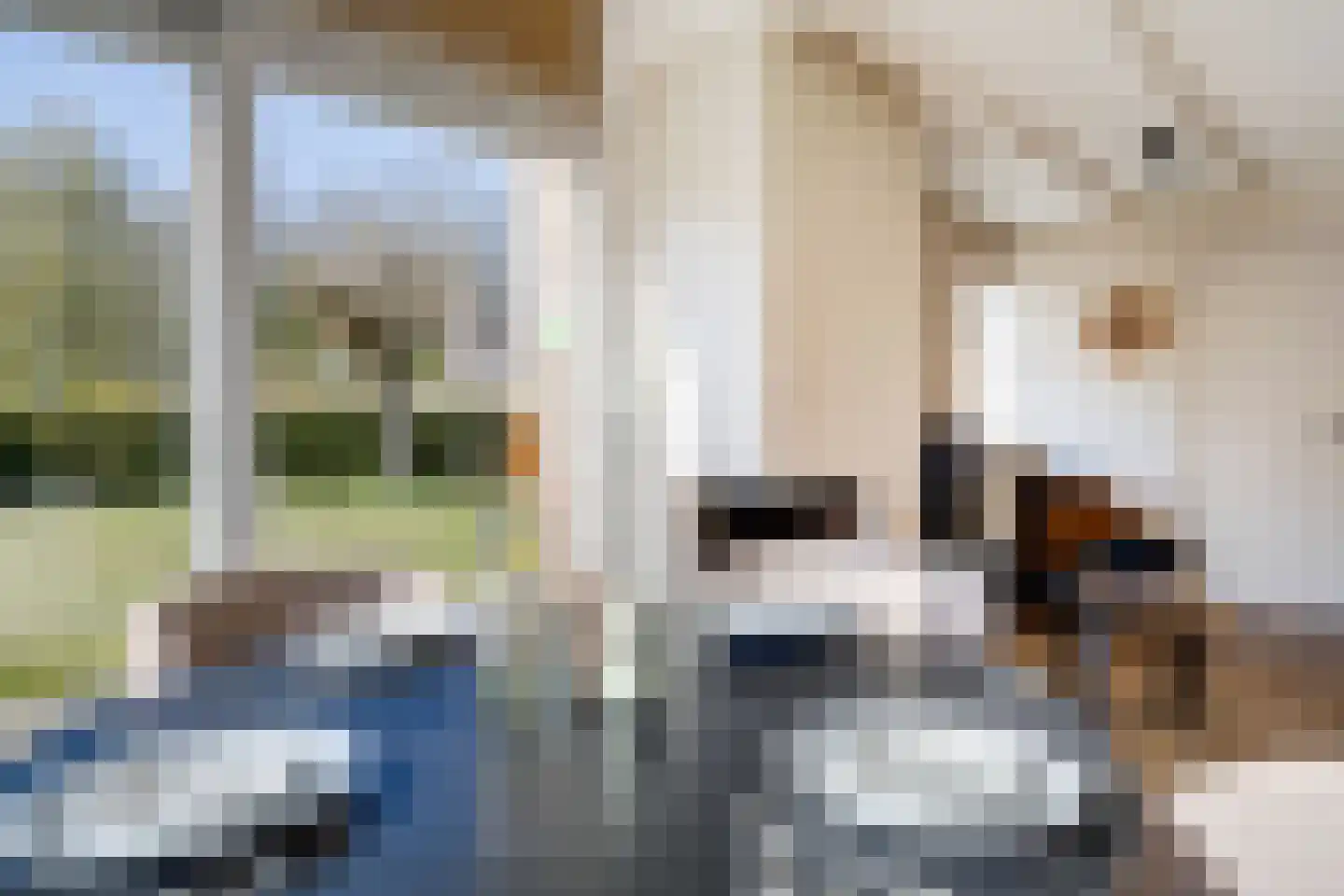 Het Zwiggelterveld 149 Zwiggelte thumbnail 11
