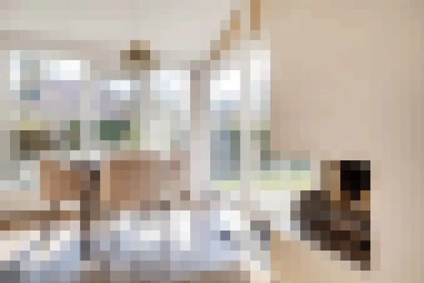 Het Zwiggelterveld 149 Zwiggelte thumbnail 15