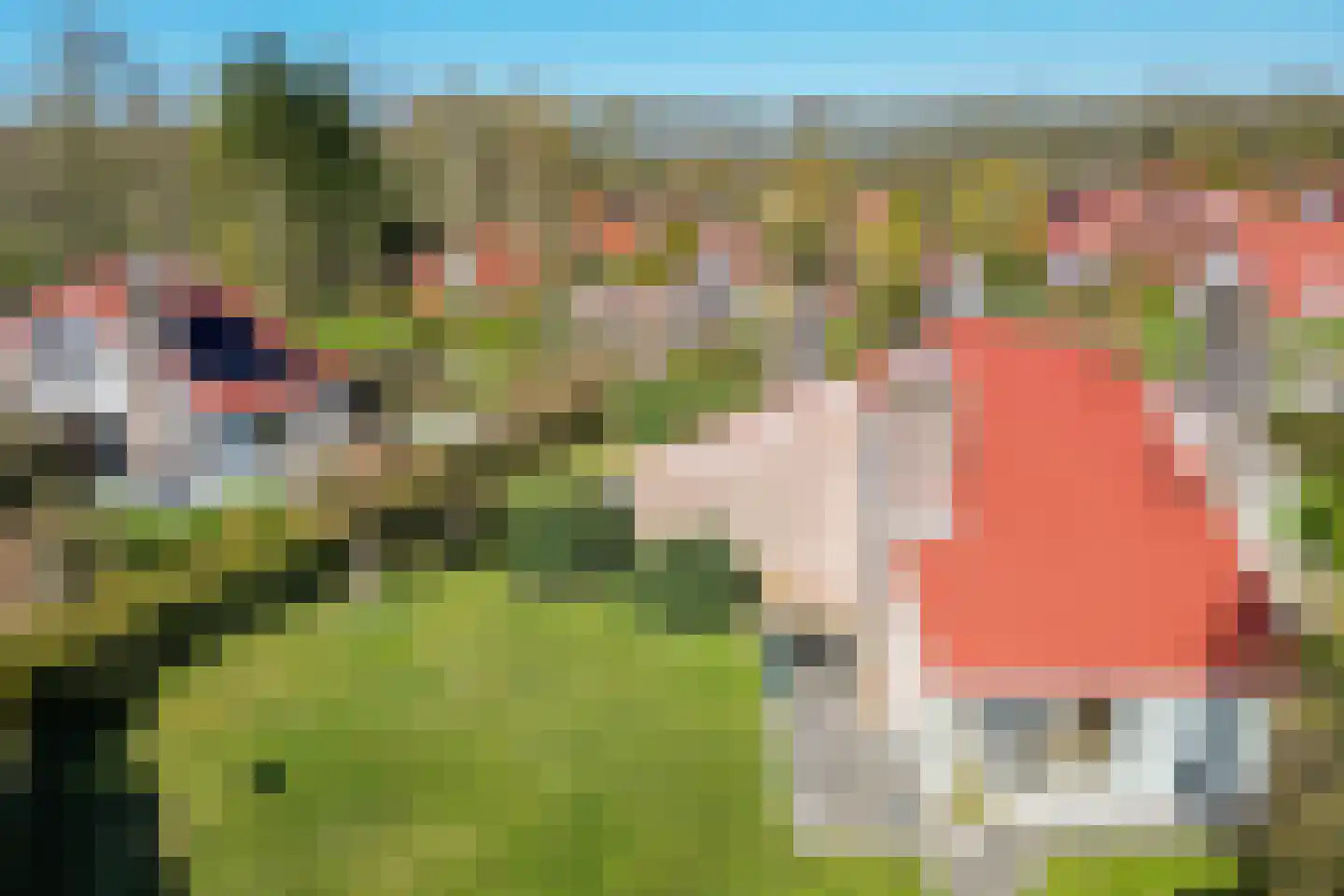 Het Zwiggelterveld 149 Zwiggelte thumbnail 36
