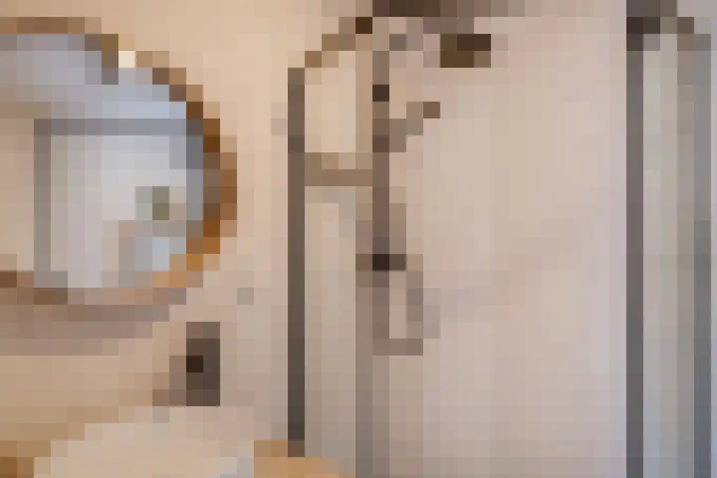 Het Zwiggelterveld 149 Zwiggelte thumbnail 4