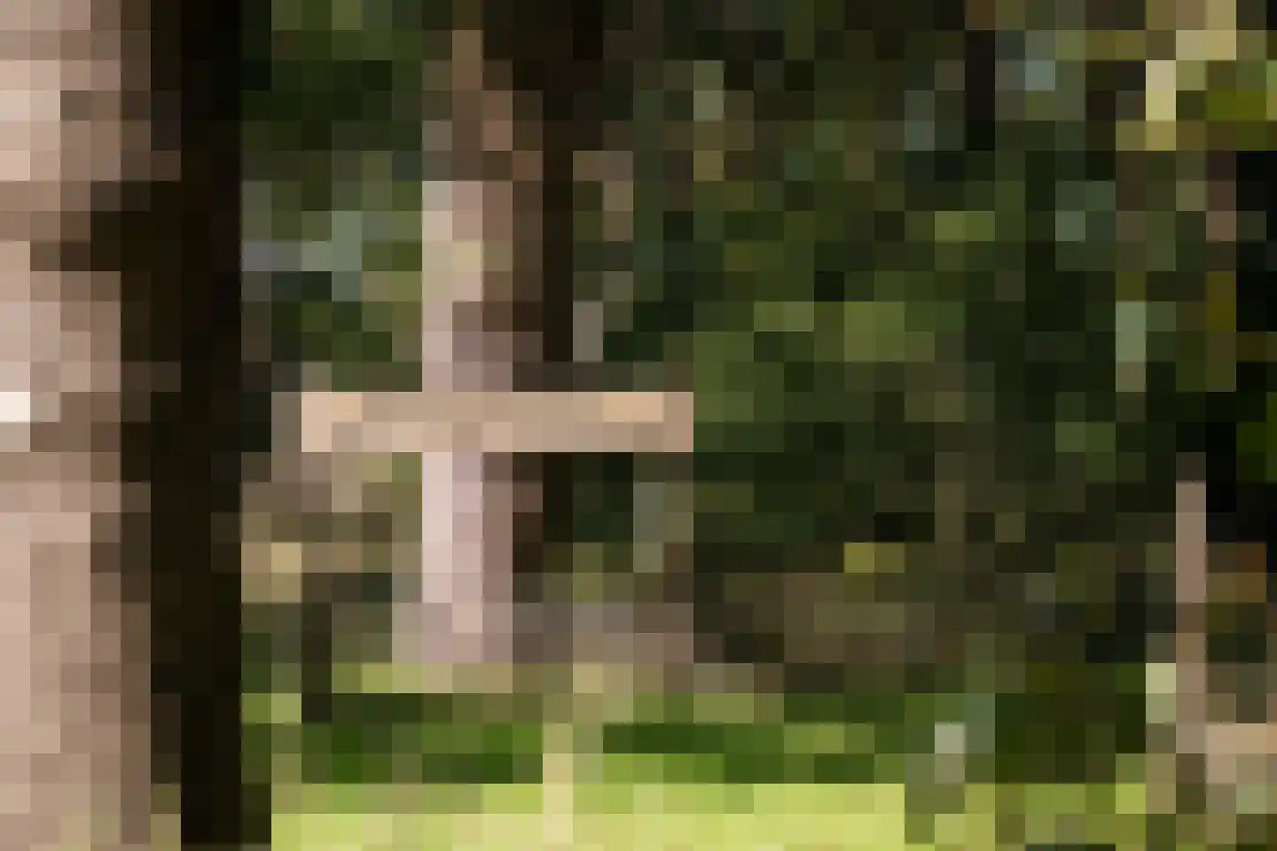 Het Zwiggelterveld 149 Zwiggelte thumbnail 41