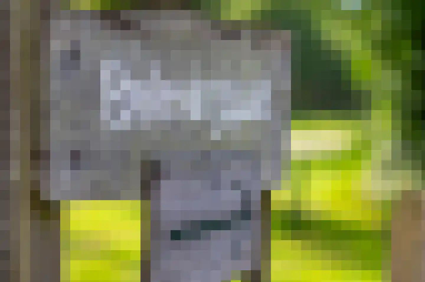 Het Zwiggelterveld 149 Zwiggelte thumbnail 42