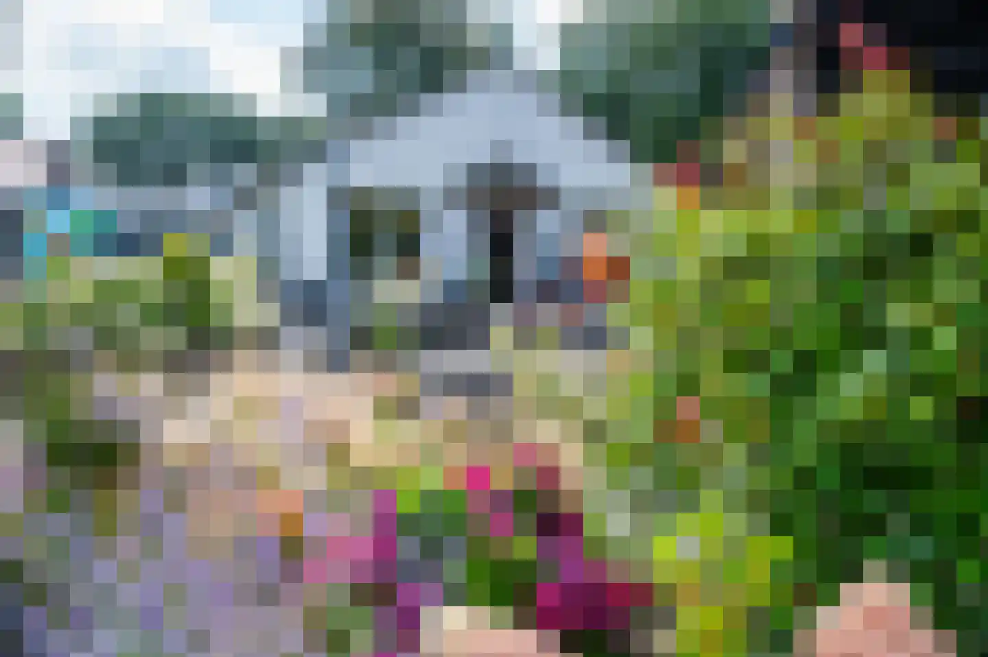 Het Zwiggelterveld 149 Zwiggelte thumbnail 43