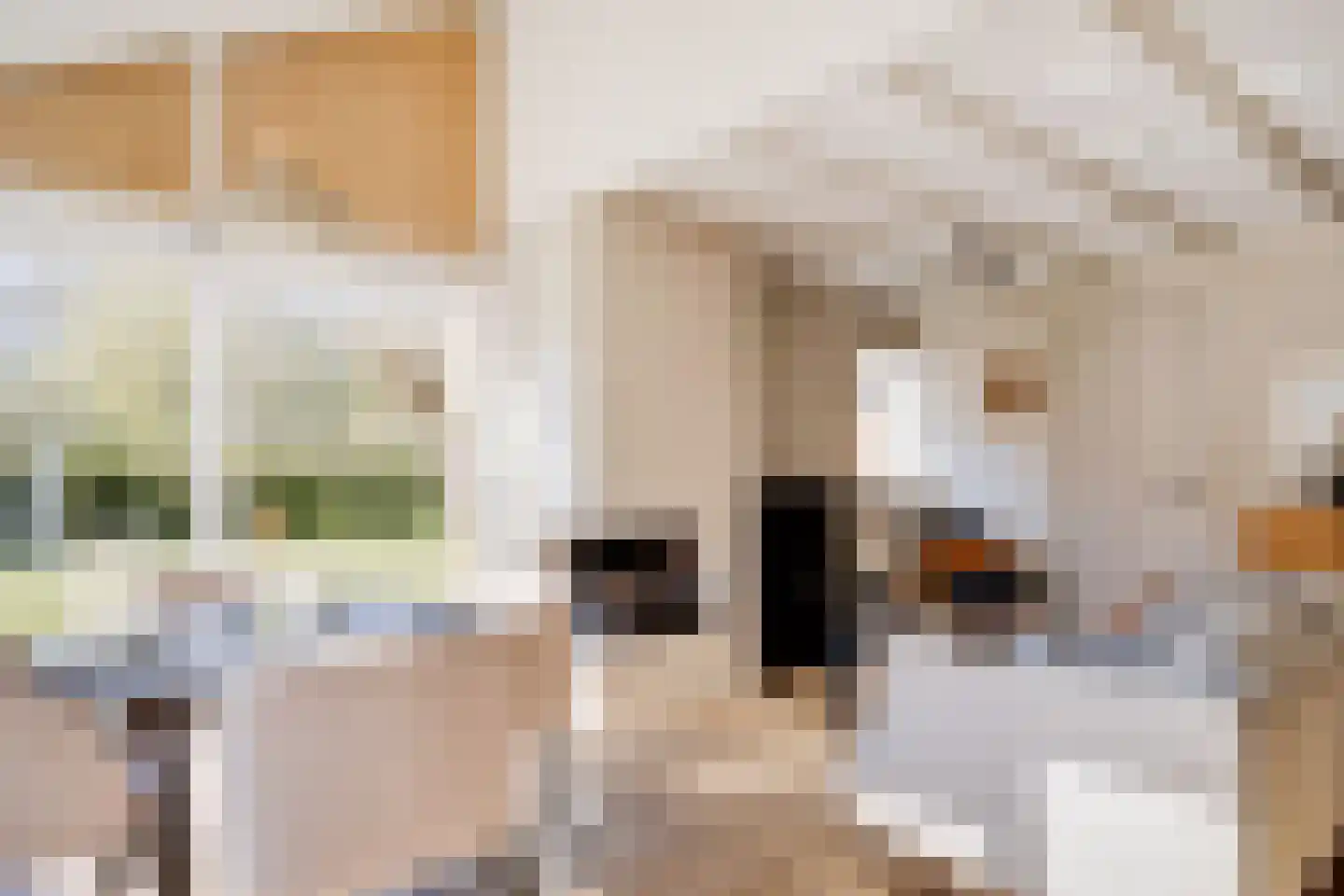 Het Zwiggelterveld 149 Zwiggelte thumbnail 5
