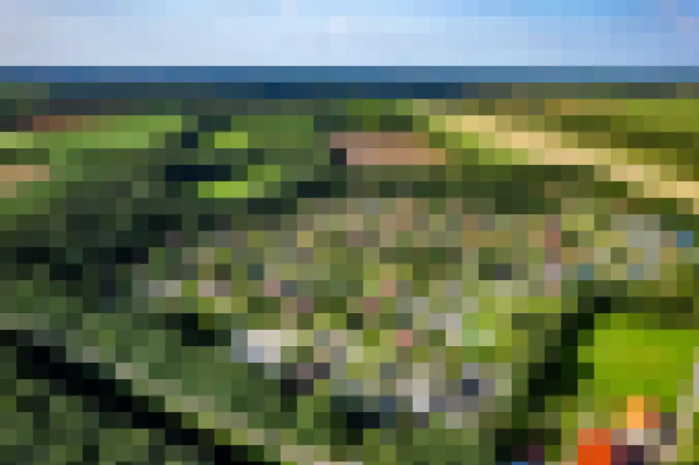 Het Zwiggelterveld 149 Zwiggelte thumbnail 6