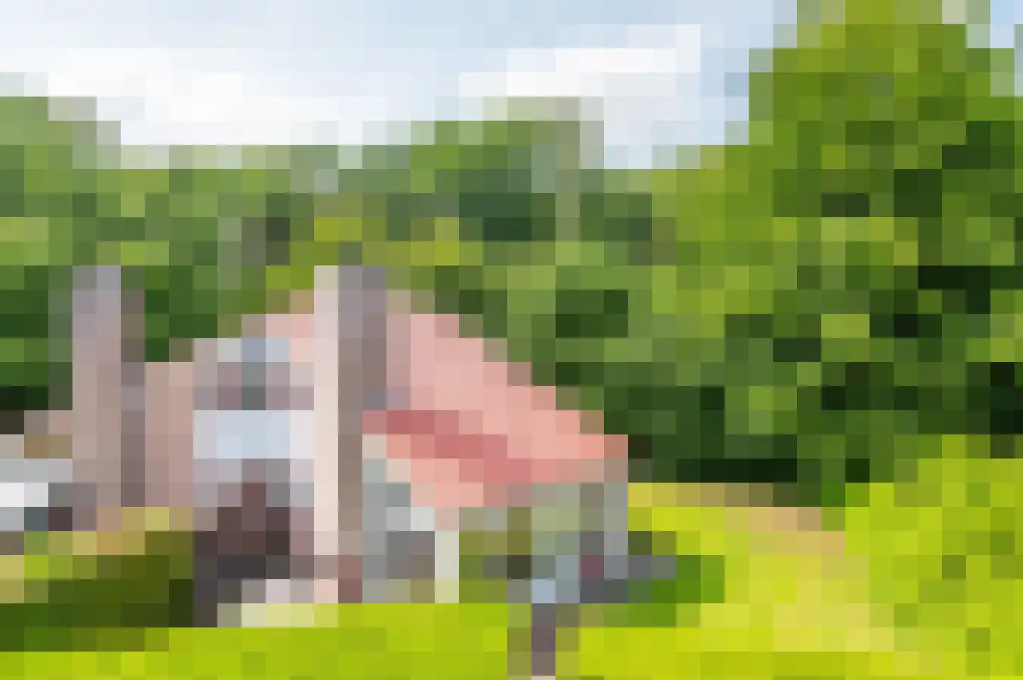 Het Zwiggelterveld 153 in Zwiggelte