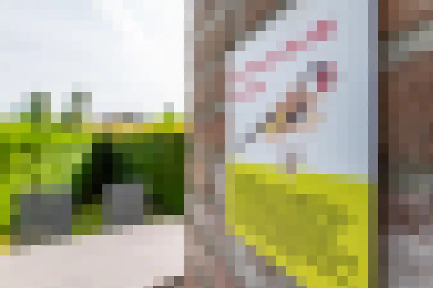 Het Zwiggelterveld 153 Zwiggelte thumbnail 12