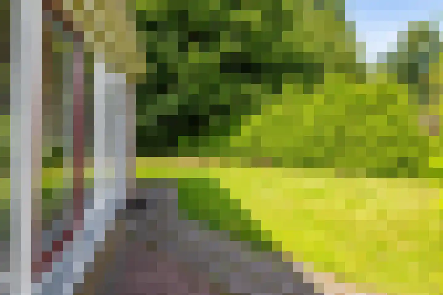 Het Zwiggelterveld 153 Zwiggelte thumbnail 13