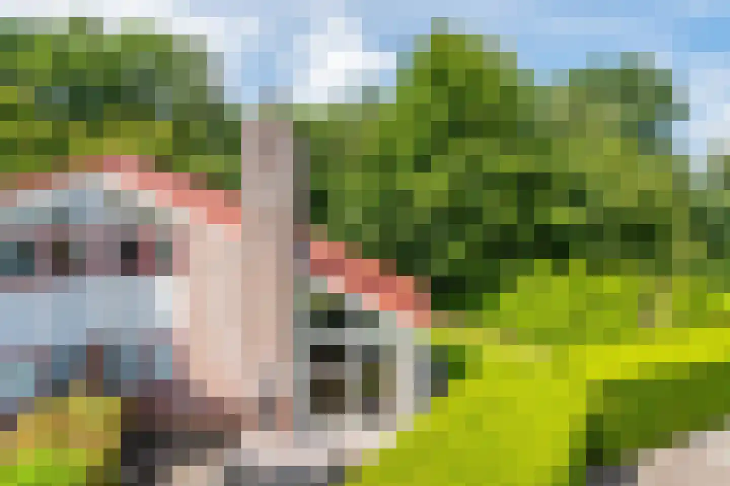 Het Zwiggelterveld 153 Zwiggelte foto 2
