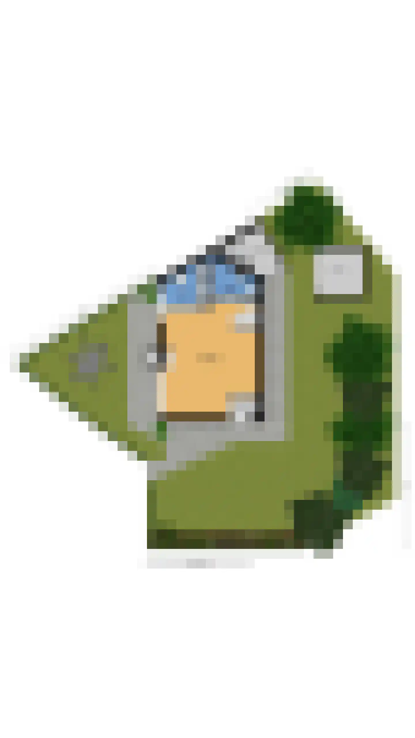 Het Zwiggelterveld 153 Zwiggelte thumbnail 30