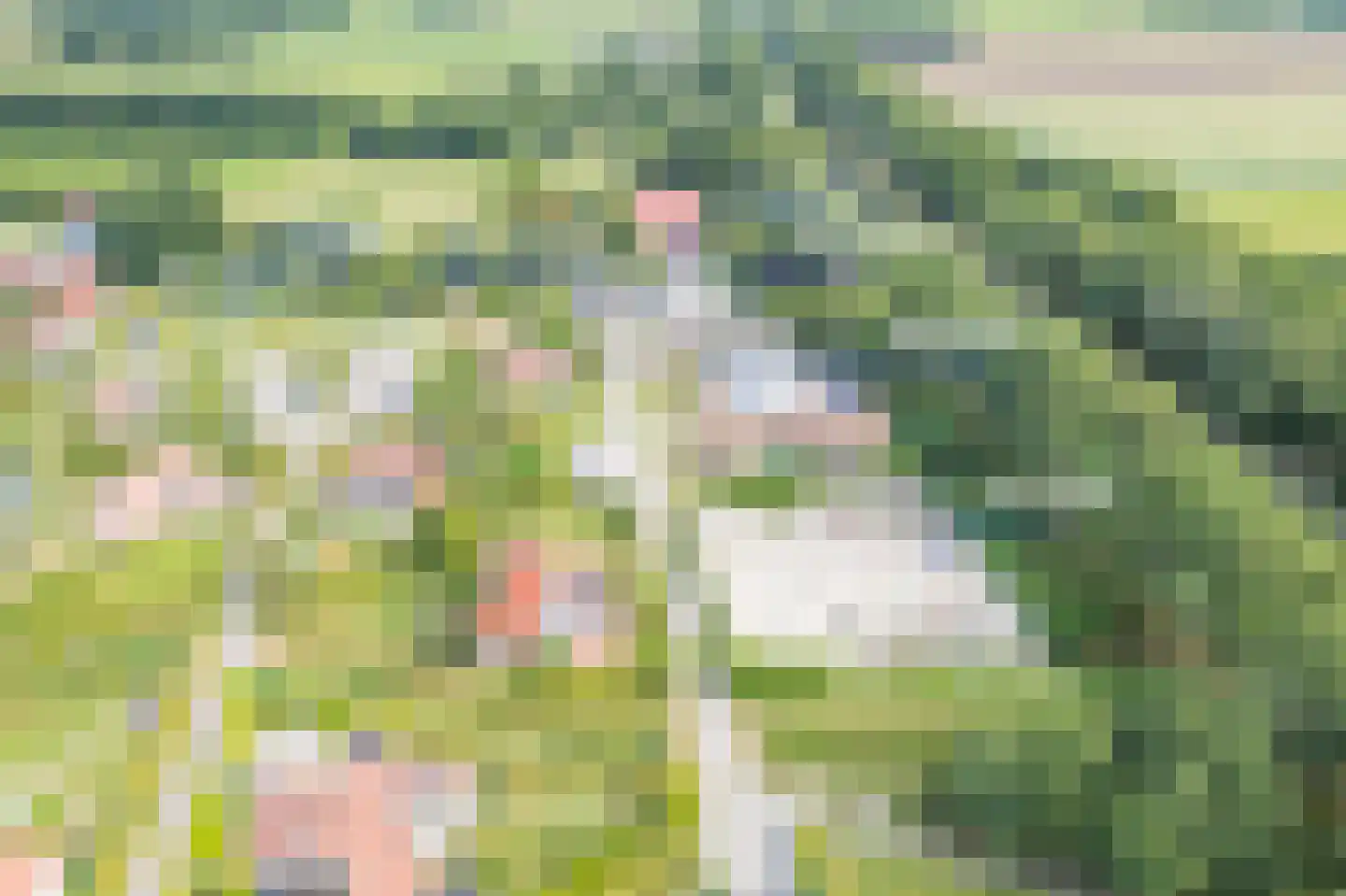 Het Zwiggelterveld 153 Zwiggelte thumbnail 30