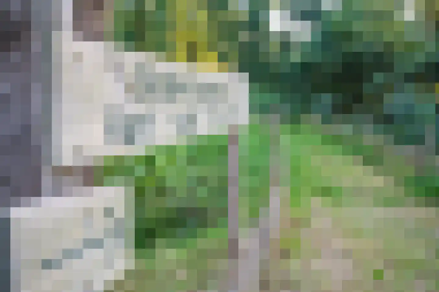 Het Zwiggelterveld 153 Zwiggelte thumbnail 33