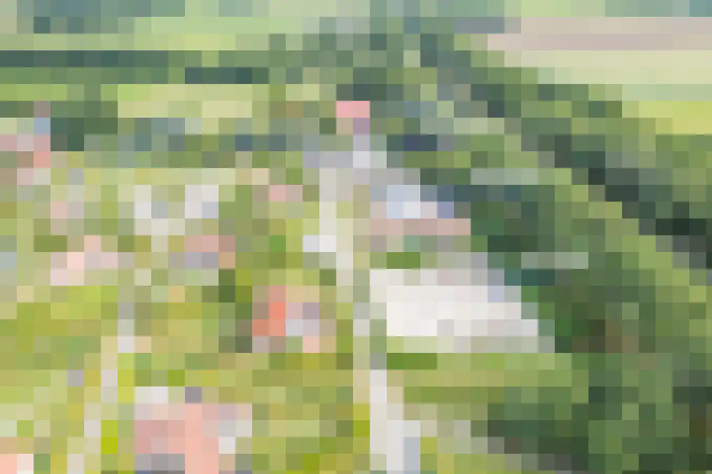 Het Zwiggelterveld 153 Zwiggelte thumbnail 34