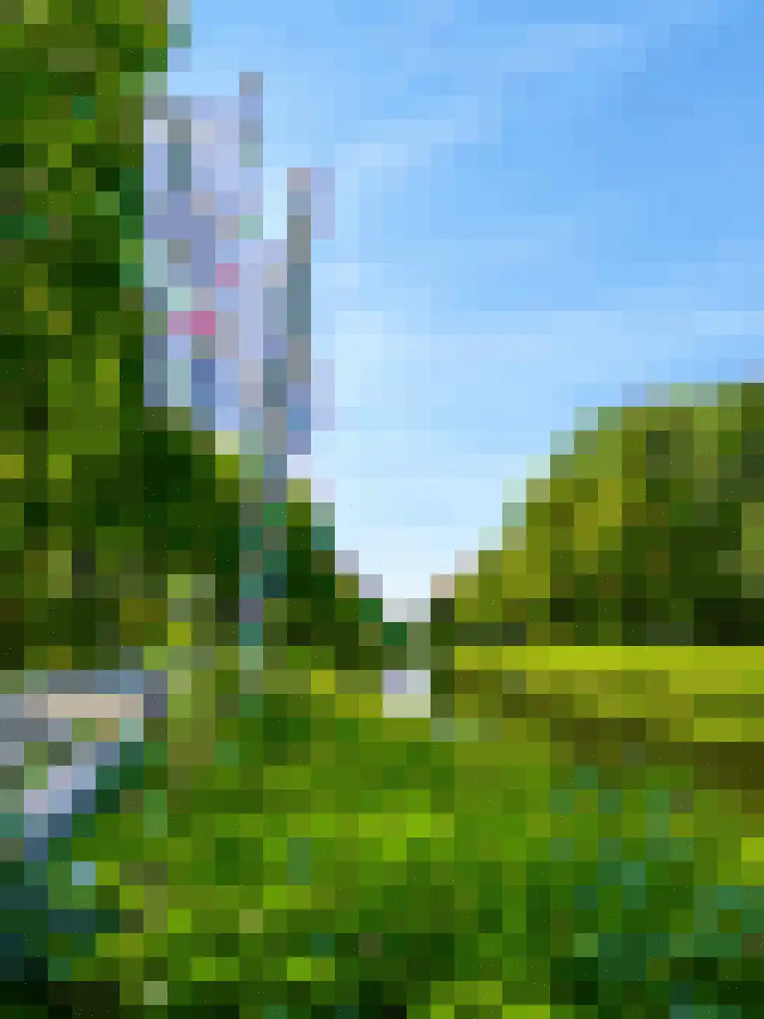 Het Zwiggelterveld 153 Zwiggelte thumbnail 35