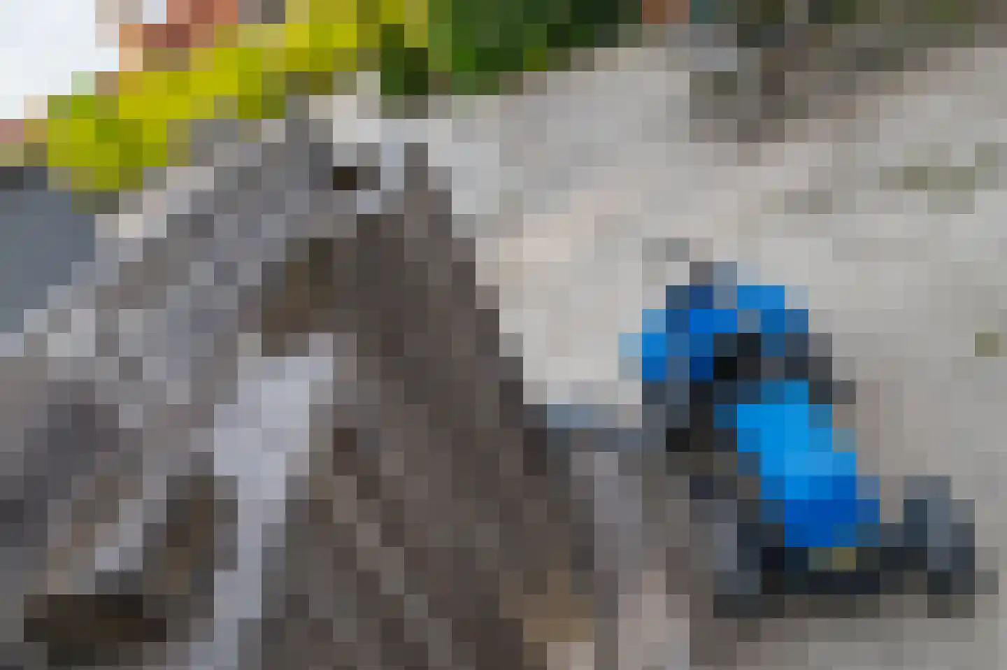 Het Zwiggelterveld 153 Zwiggelte thumbnail 36