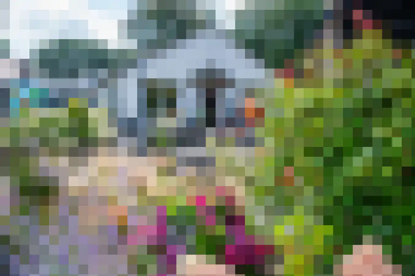 Het Zwiggelterveld 153 Zwiggelte thumbnail 37