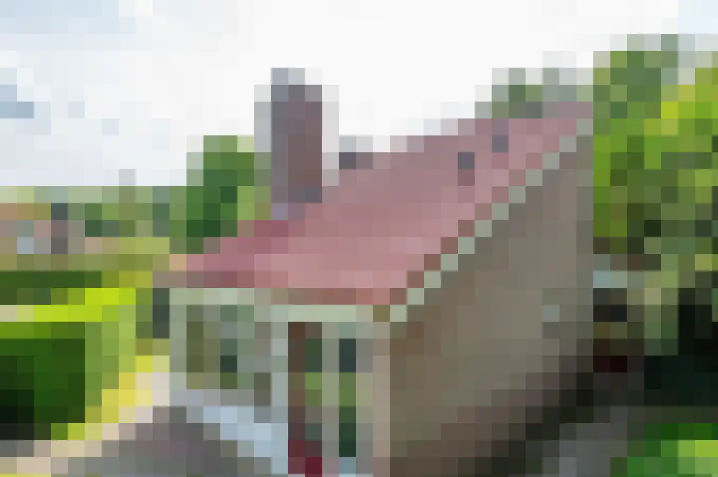 Het Zwiggelterveld 153 Zwiggelte thumbnail 4