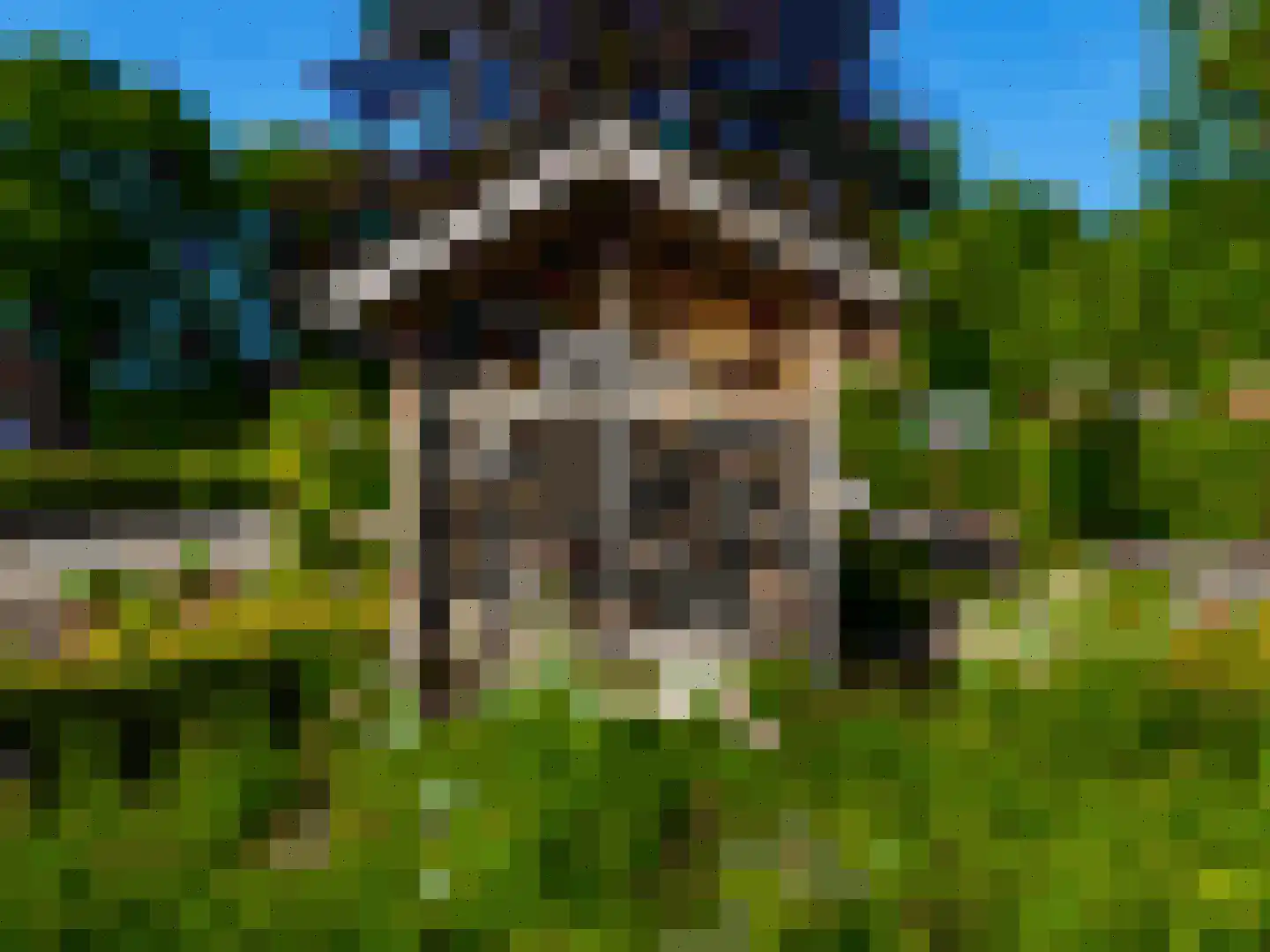 Het Zwiggelterveld 153 Zwiggelte thumbnail 46