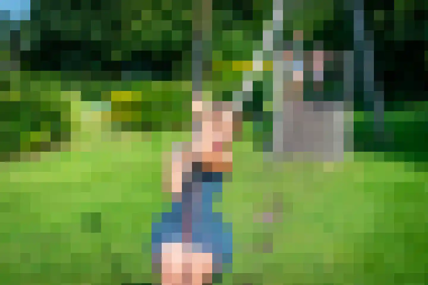 Het Zwiggelterveld 153 Zwiggelte thumbnail 49